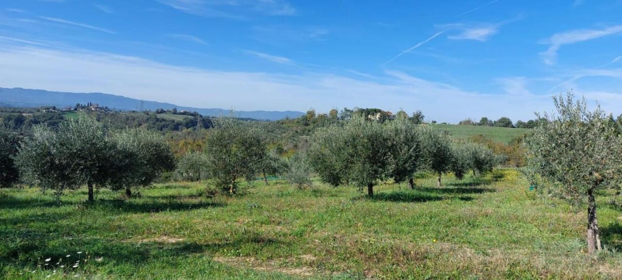 Tenuta I Lecci Терануова Брачолини Екстериор снимка